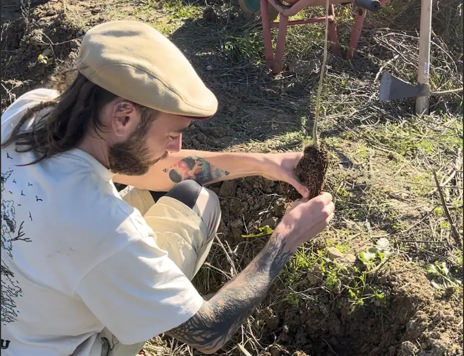 Permaculture planting