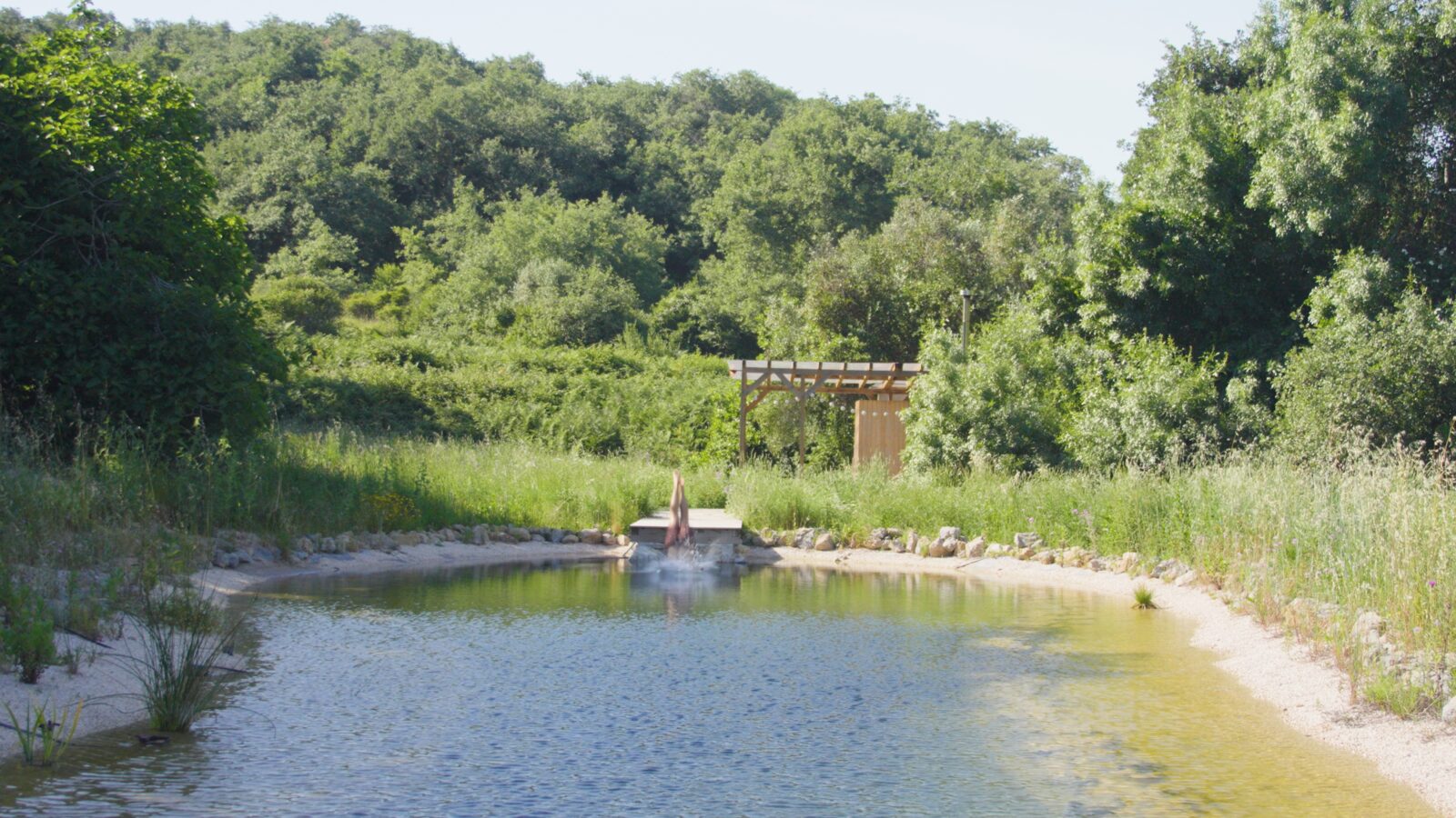 The swimming pond
